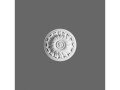 rozeta-orac-decor-r11.jpg